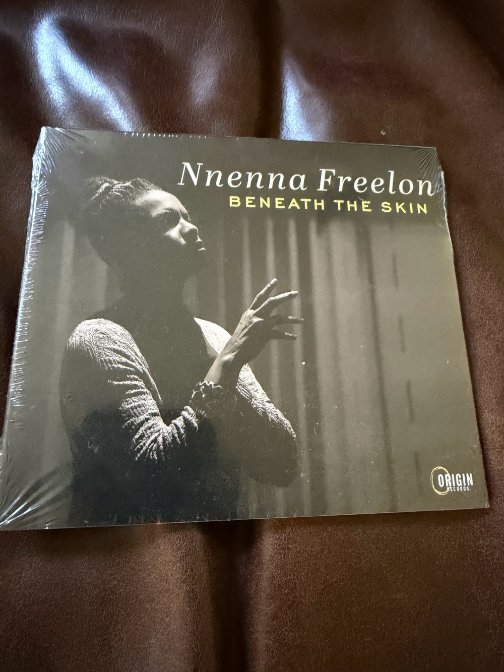 Nnenna Freelon Beneath The Skin Jazz CD